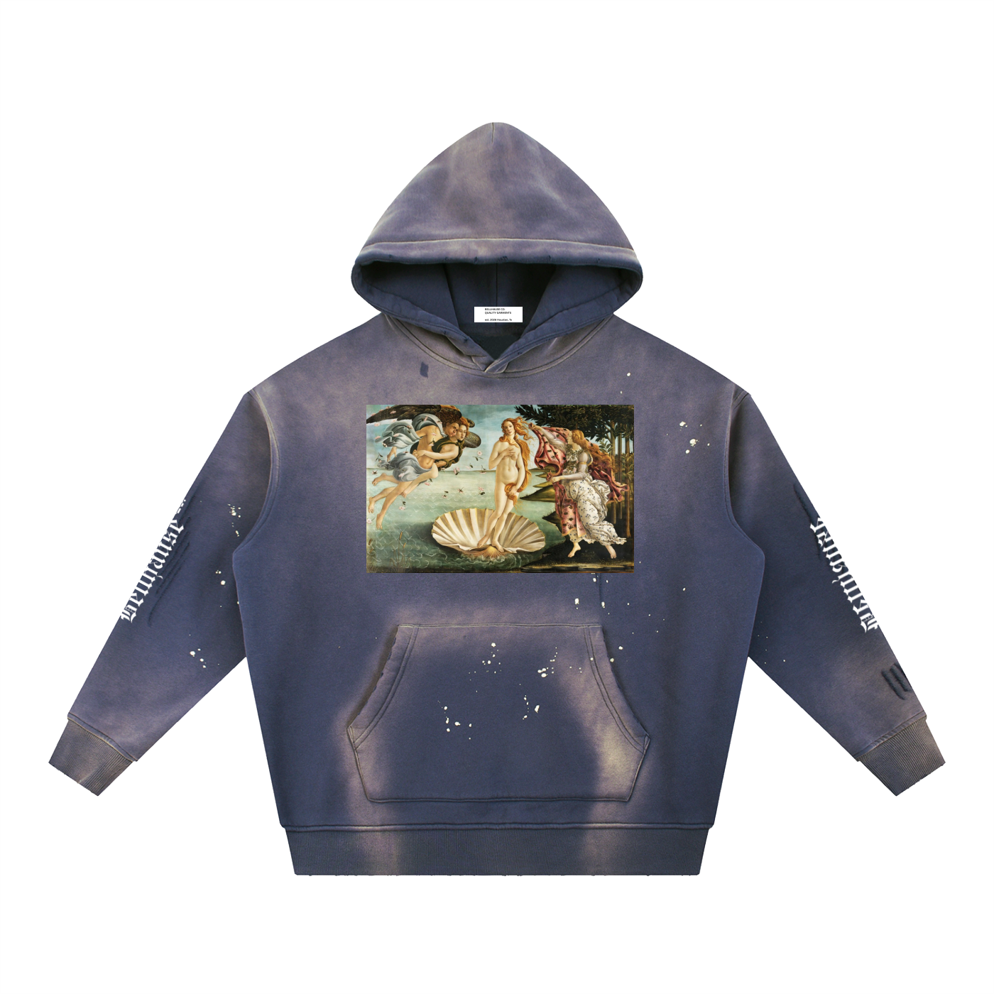 Vintage Frayed Botticelli Hoodie
