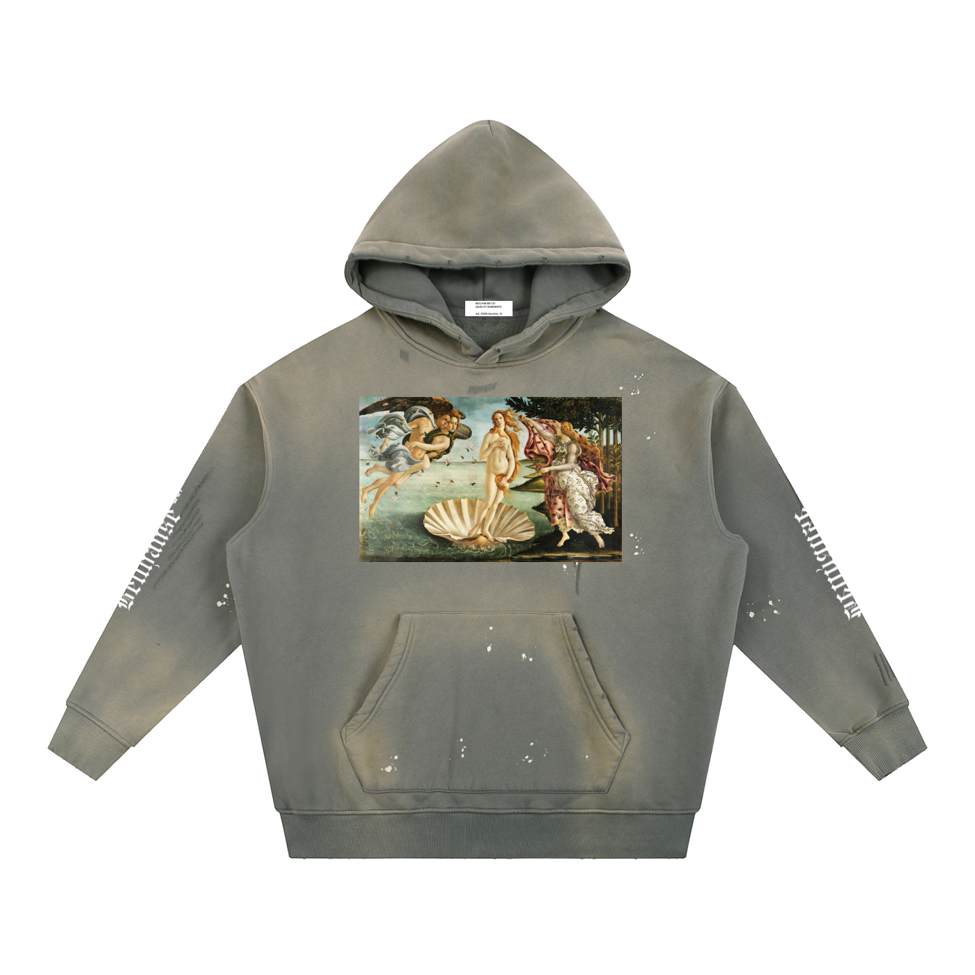 Vintage Frayed Botticelli Hoodie
