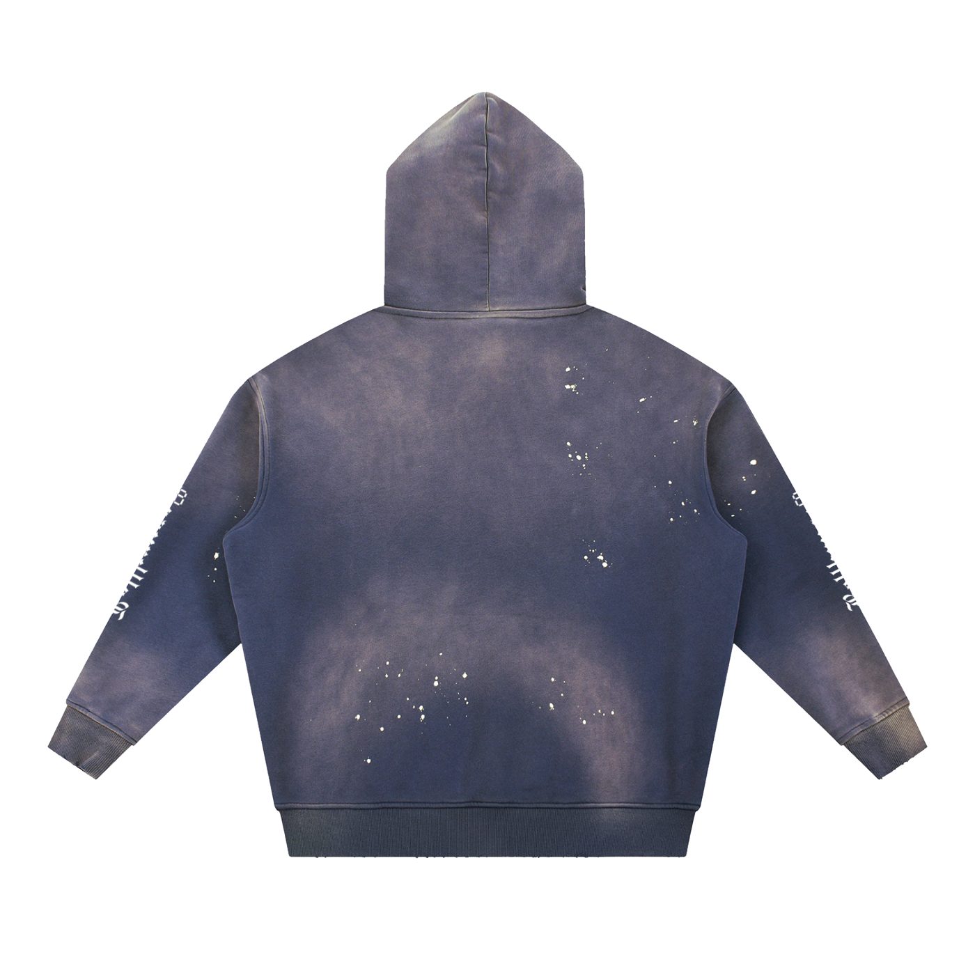Vintage Frayed Botticelli Hoodie
