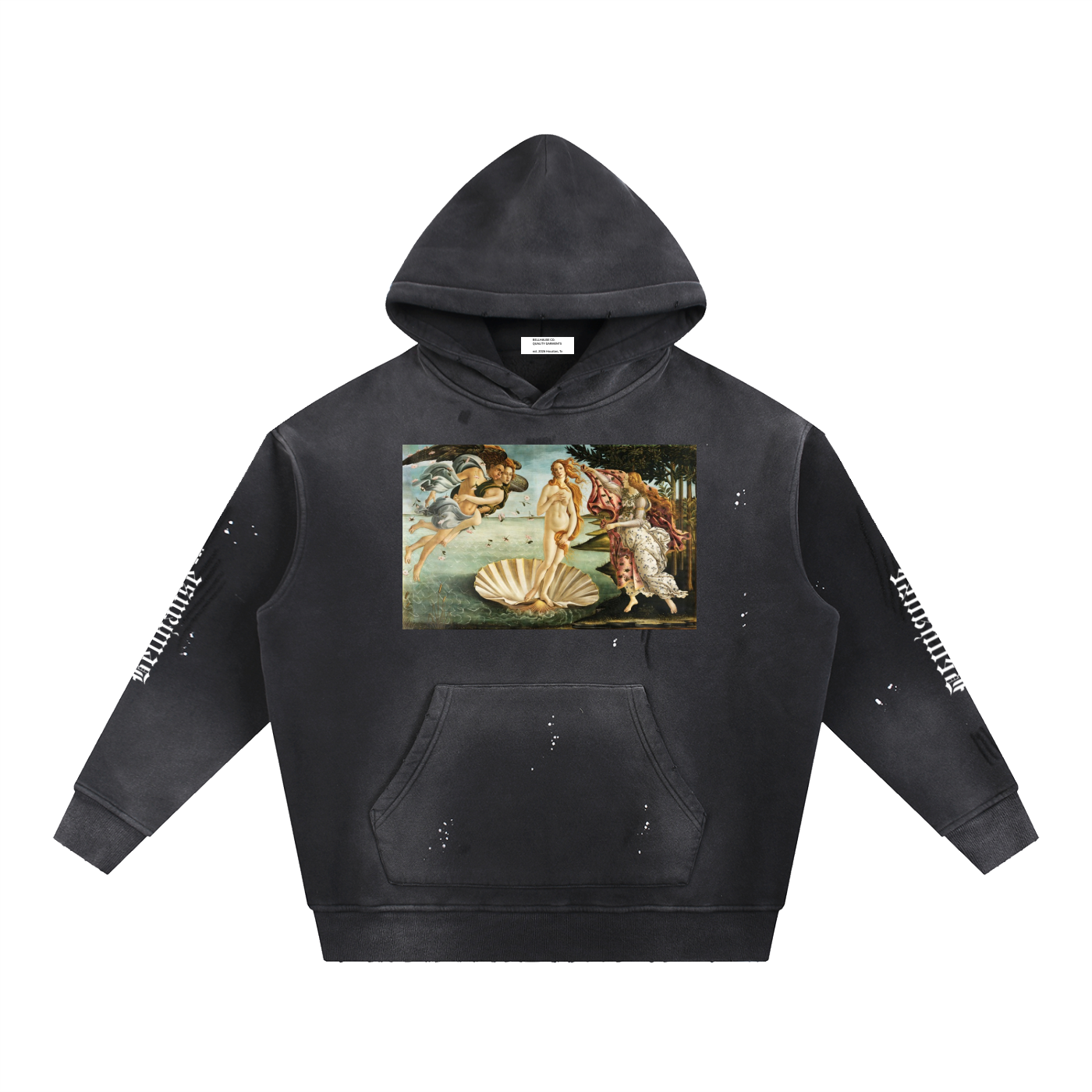 Vintage Frayed Botticelli Hoodie