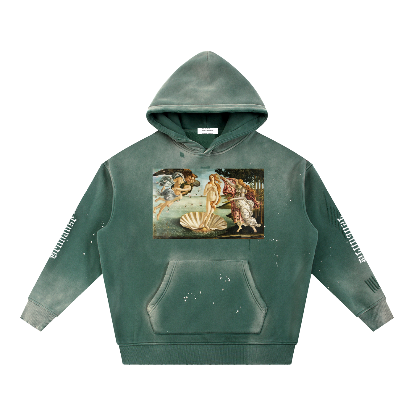 Vintage Frayed Botticelli Hoodie