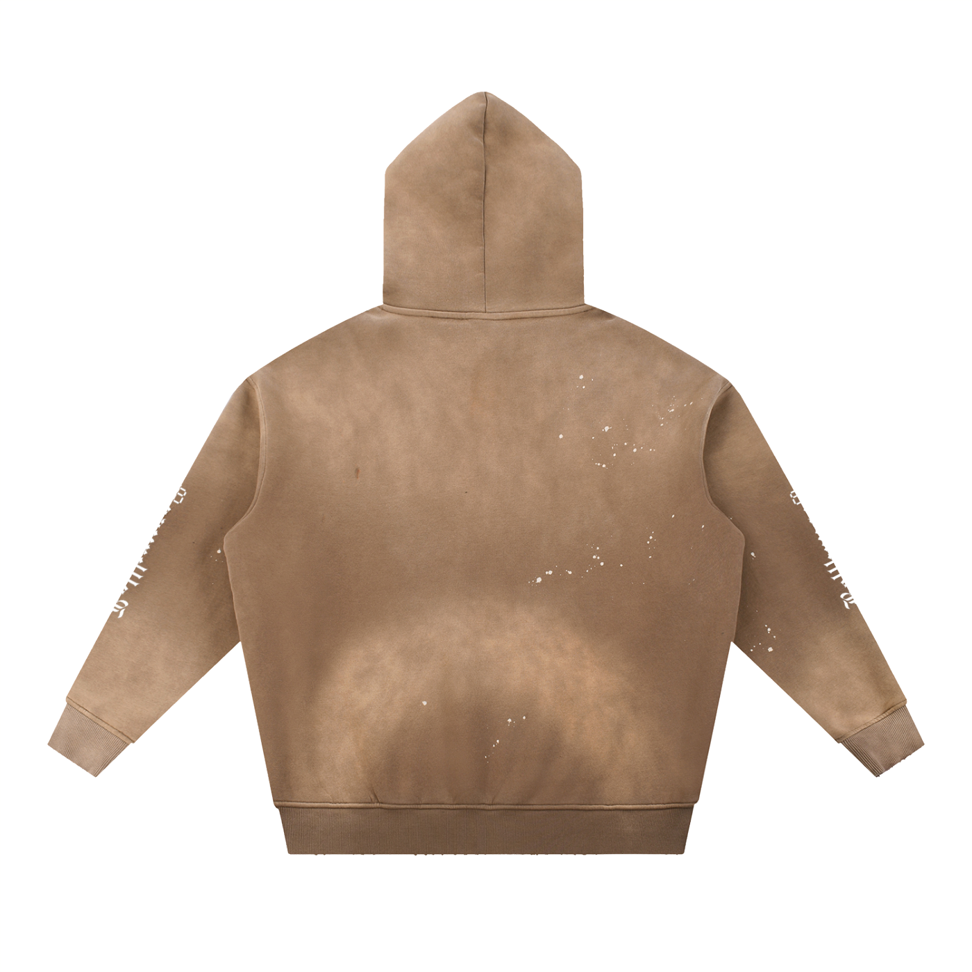 Vintage Frayed Botticelli Hoodie